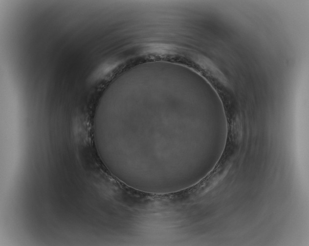 X0000115510822200911061354
