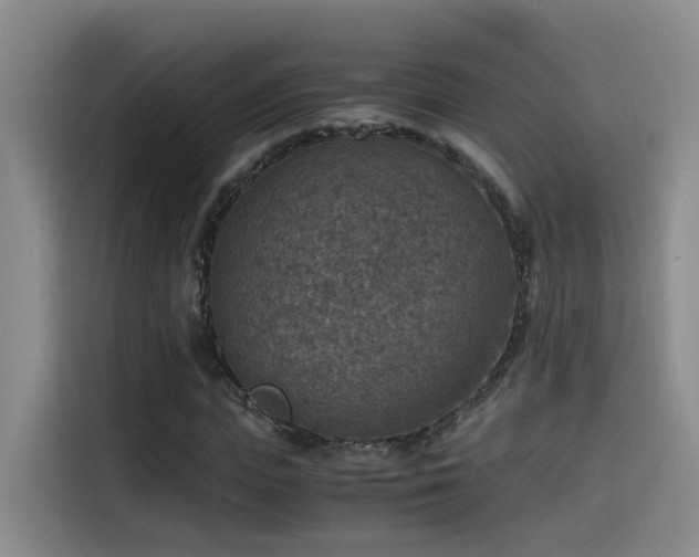 X0000115510823200911061354