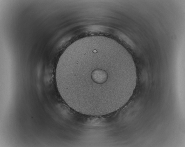 X0000115510824200911061354