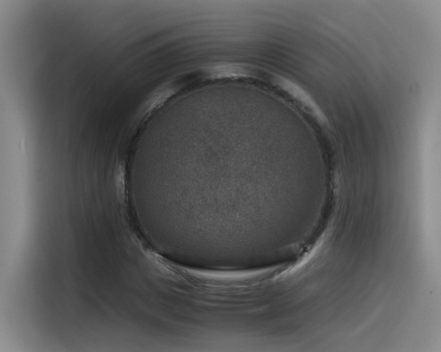 X0000115510825200911061354