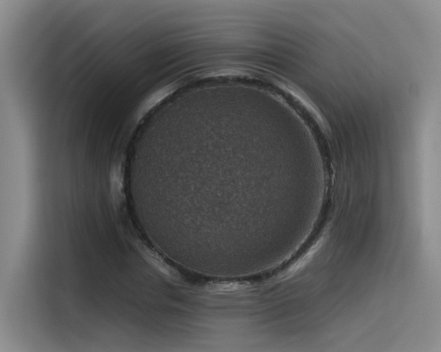 X0000115510826200911061354