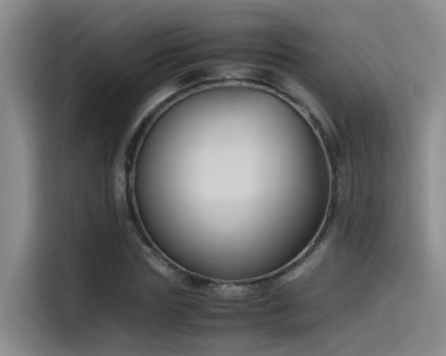X0000115510827200911061354