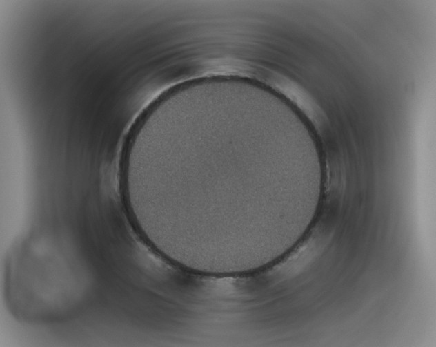 X0000115510828200911061355