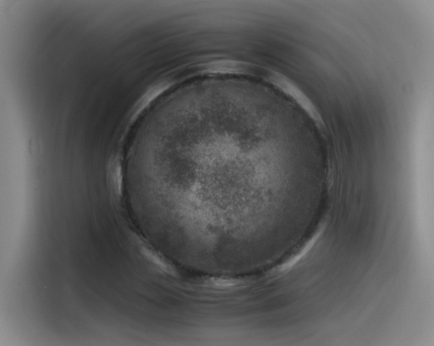 X0000115510829200911061355