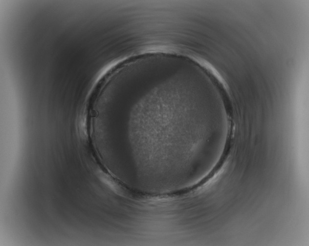 X0000115510830200911061355