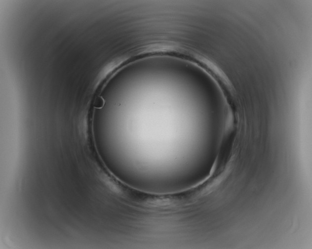 X0000115510834200911061355