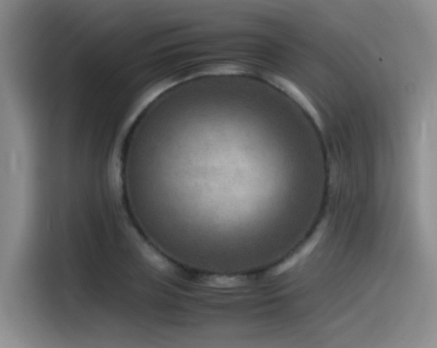 X0000115510835200911061355