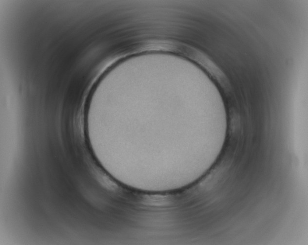X0000115510836200911061355