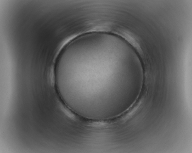 X0000115510838200911061355