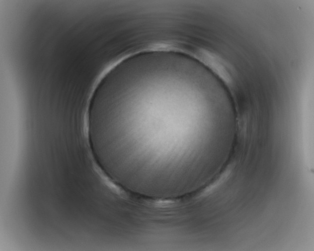 X0000115510839200911061355