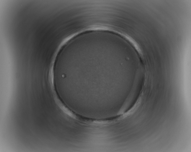X0000115510840200911061355