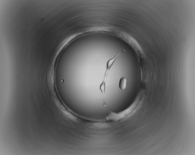 X0000115510844200911061355
