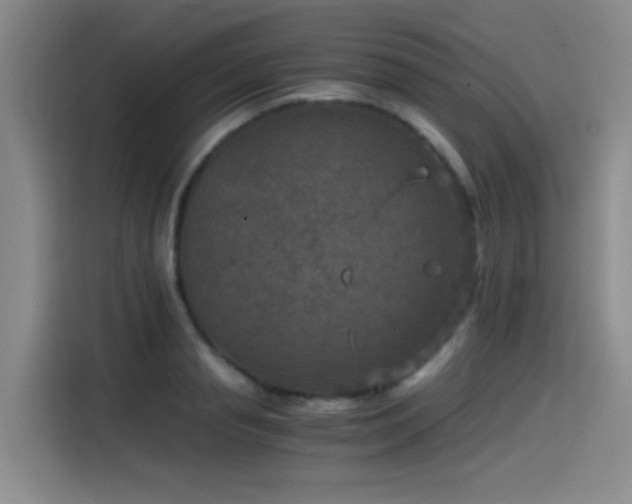 X0000115510845200911061355