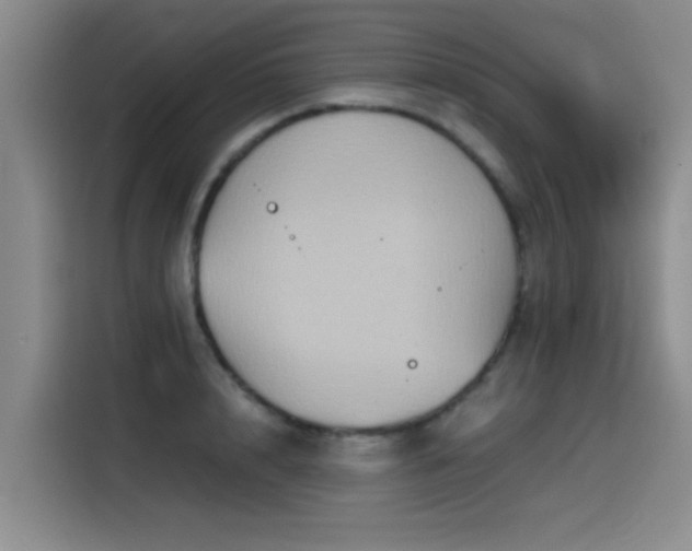 X0000115510848200911061355