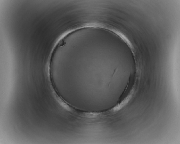 X0000115510854200911061355