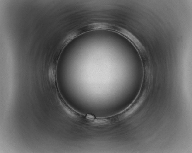 X0000115510857200911061355
