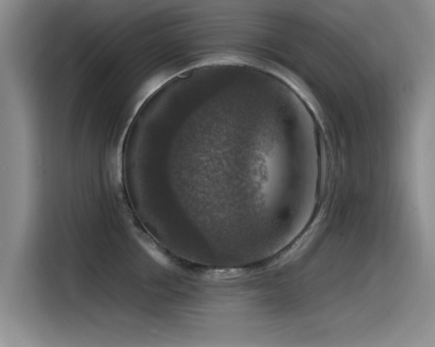 X0000115510858200911061355