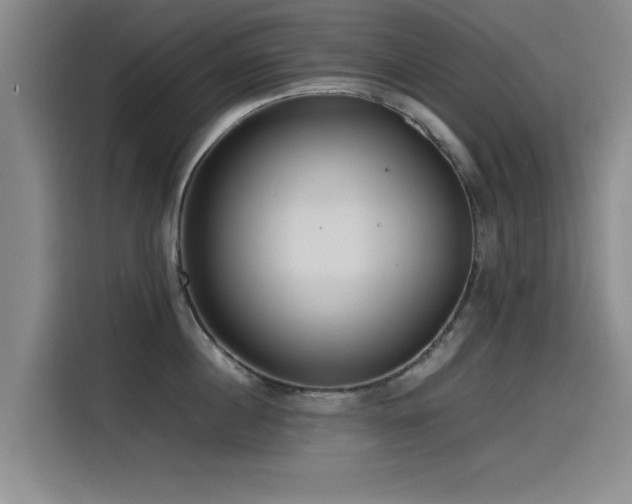 X0000115510860200911061355