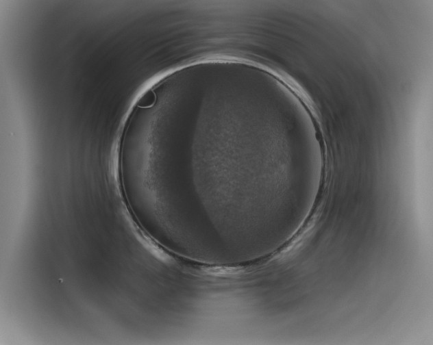 X0000115510862200911061355