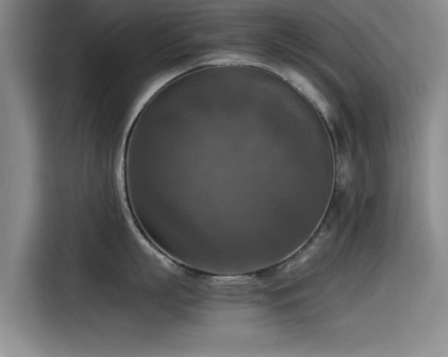 X0000115510863200911061355