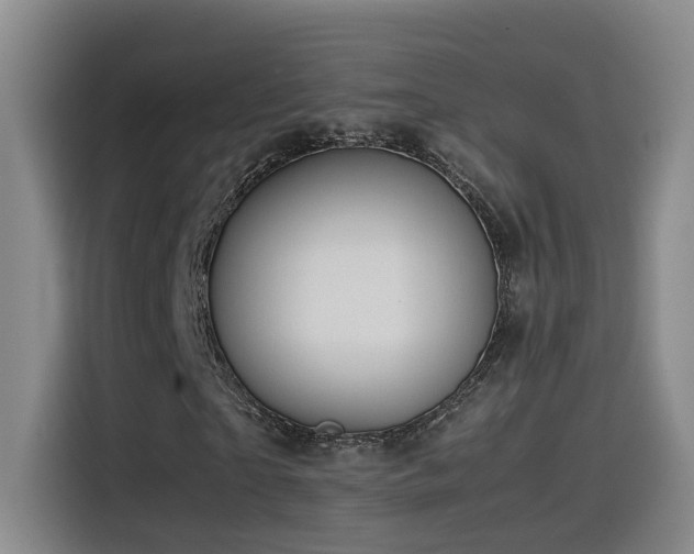 X0000115510865200911061354