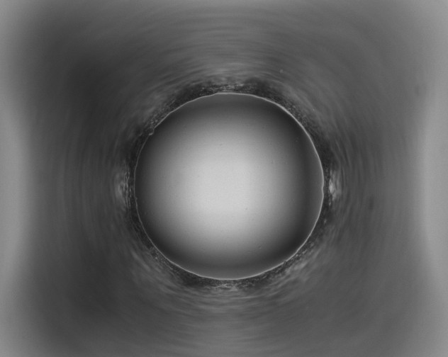 X0000115510867200911061354