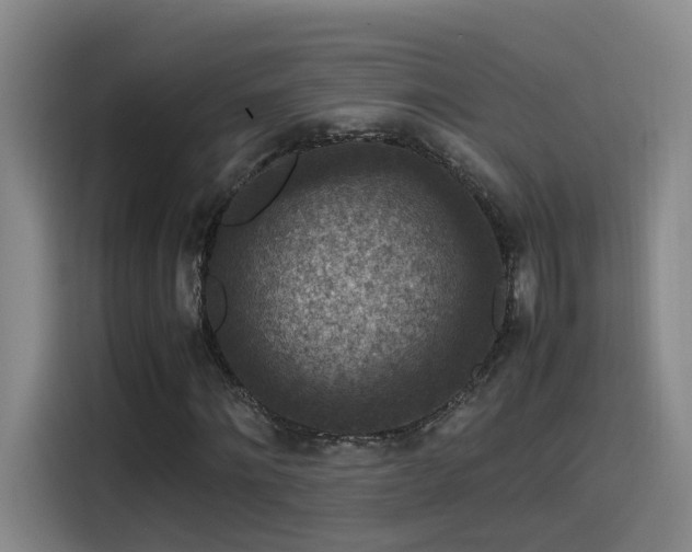 X0000115510868200911061354