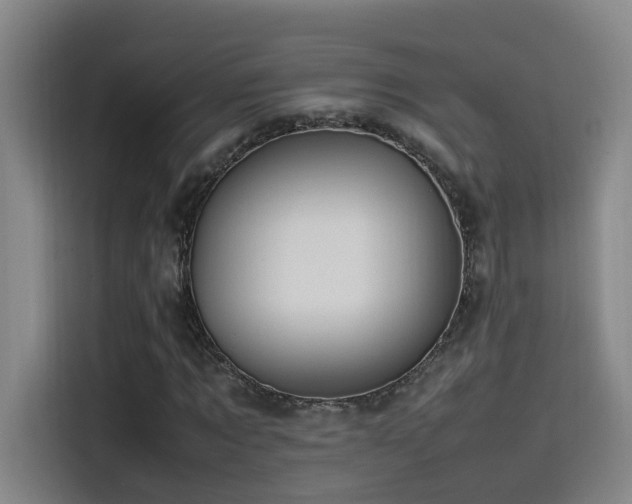 X0000115510869200911061354