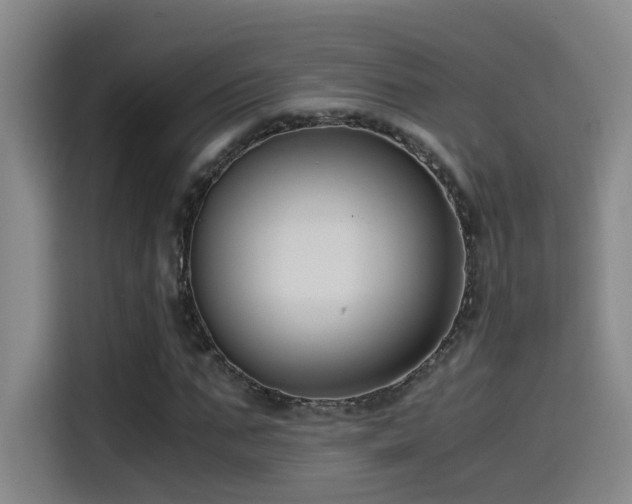 X0000115510871200911061354