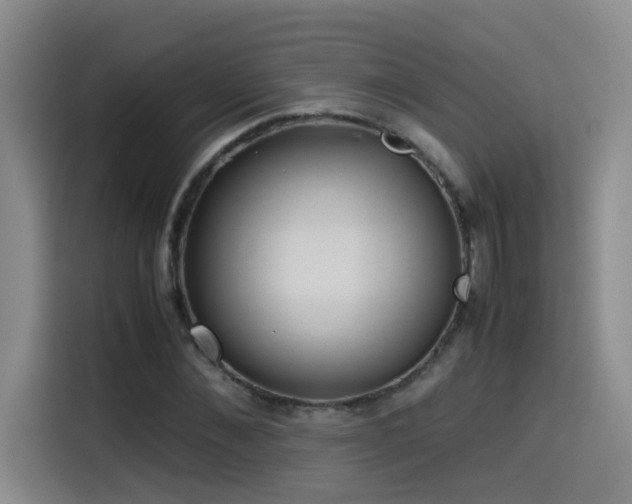 X0000115510876200911061354
