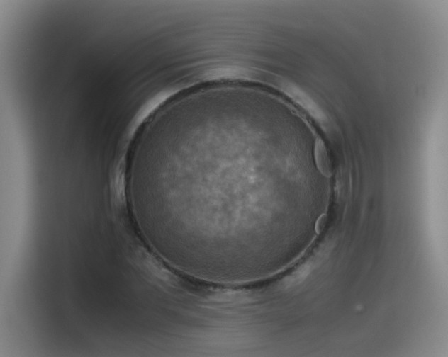 X0000115510877200911061354