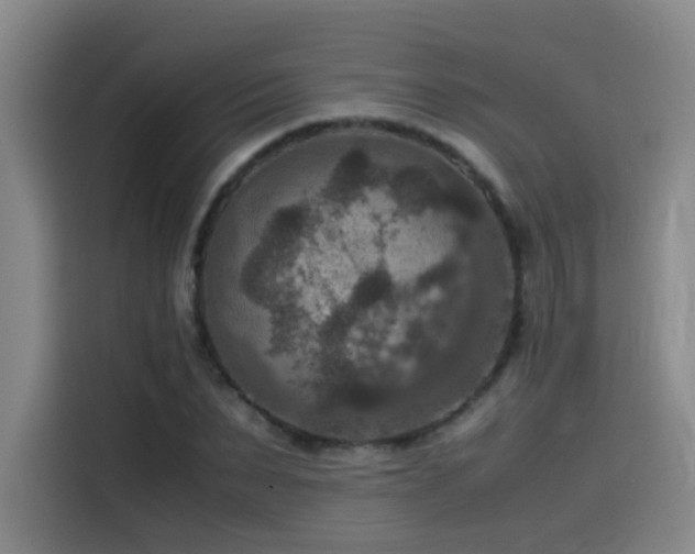 X0000115510879200911061354