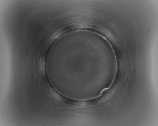 X0000115510881200911061354
