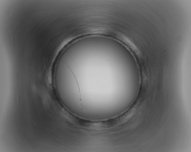 X0000115510883200911061354