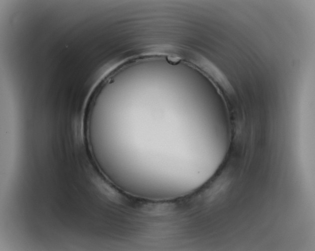 X0000115510884200911061354