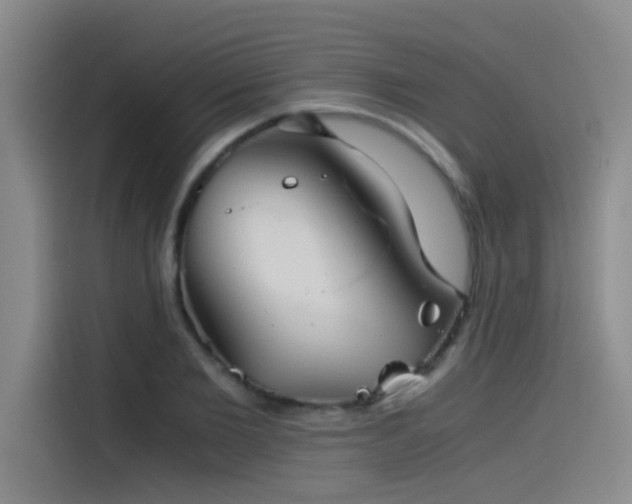 X0000115510885200911061354
