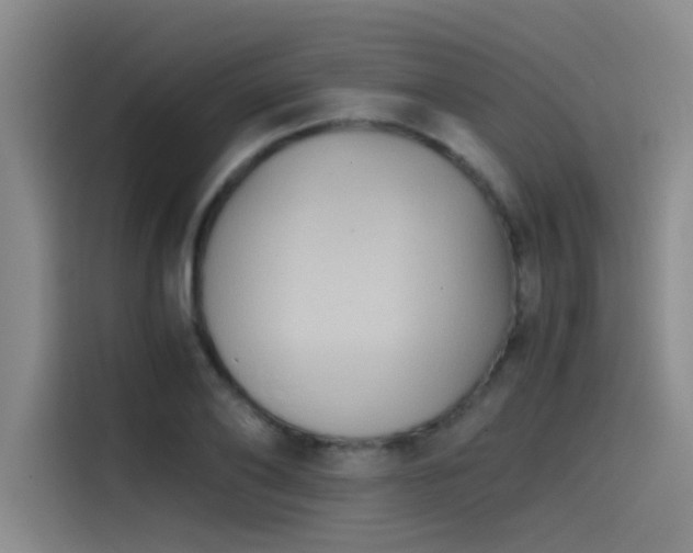 X0000115510886200911061354