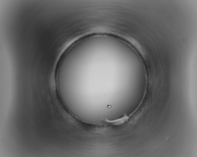 X0000115510887200911061354