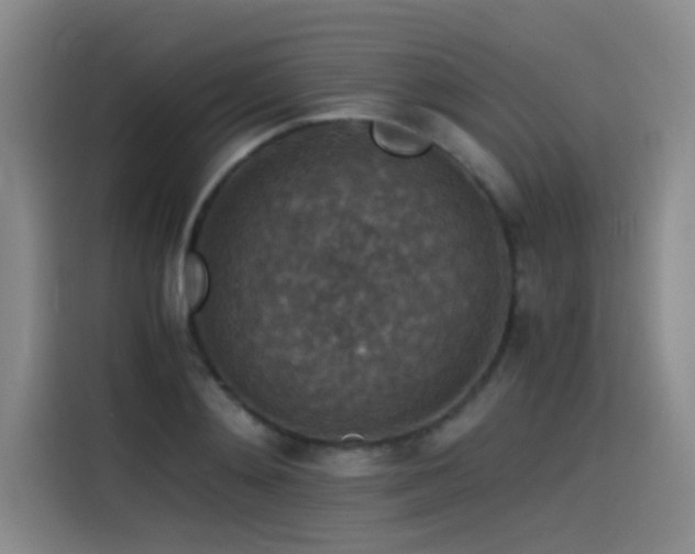 X0000115510892200911061354