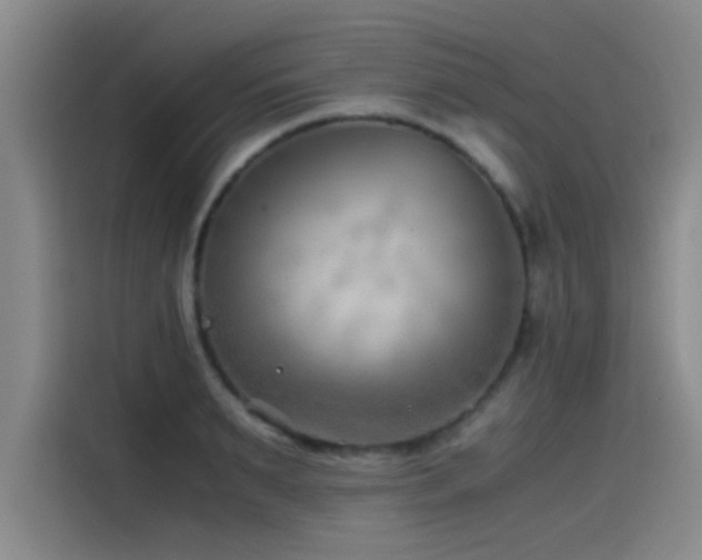 X0000115510895200911061354
