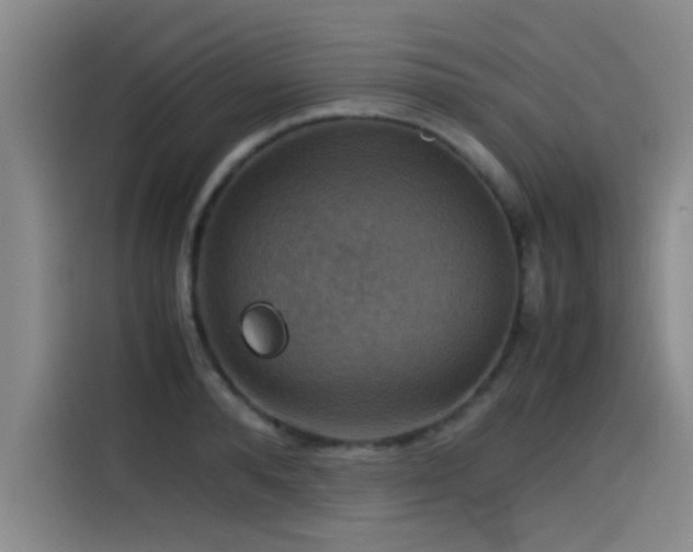 X0000115510896200911061354
