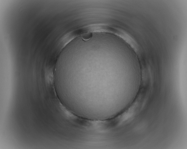 X0000115510897200911061354