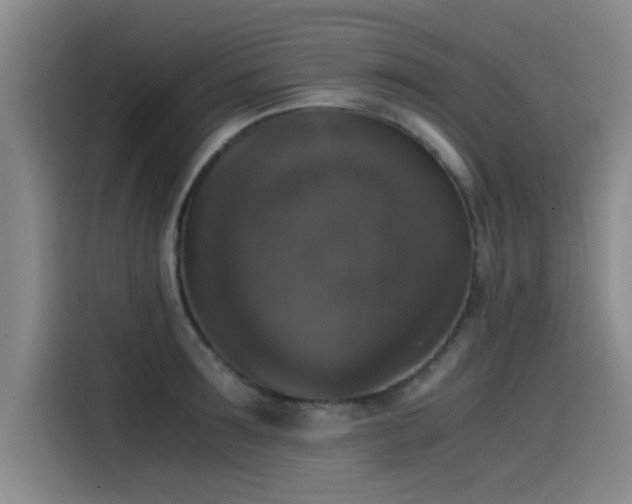 X0000115510899200911061354