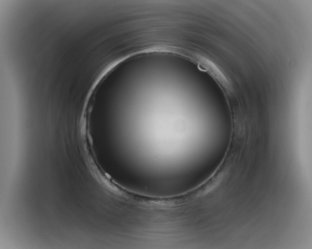 X0000115510900200911061354