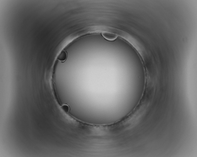 X0000115510901200911061354