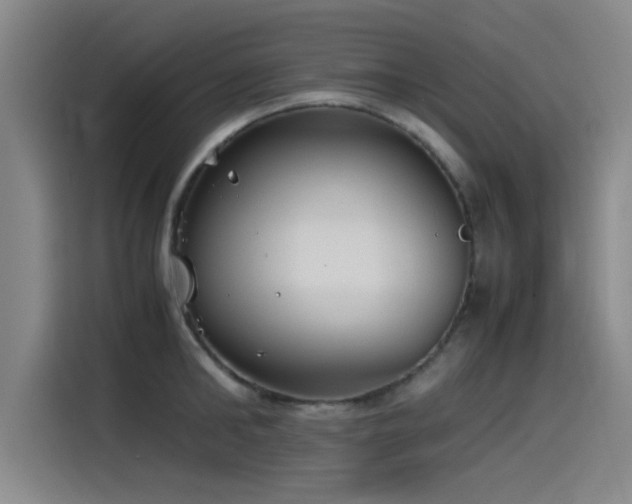 X0000115510902200911061354