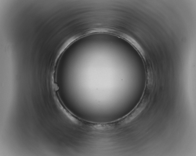 X0000115510906200911061354
