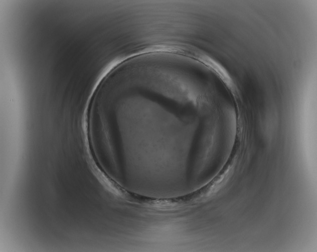 X0000115510907200911061354