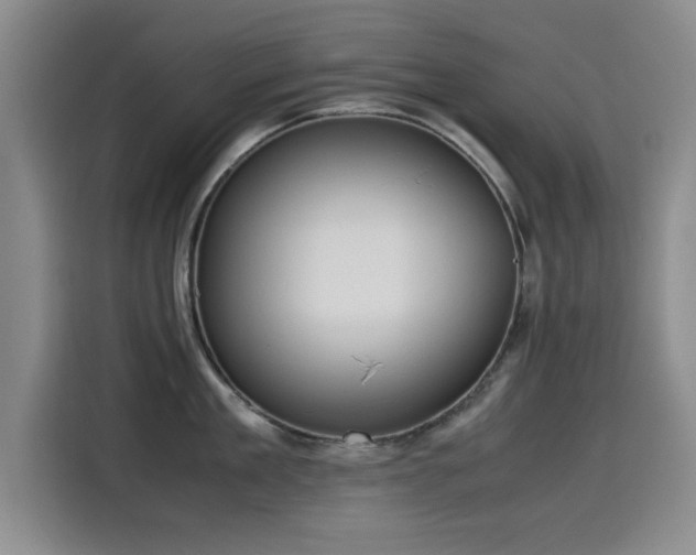 X0000115510909200911061354