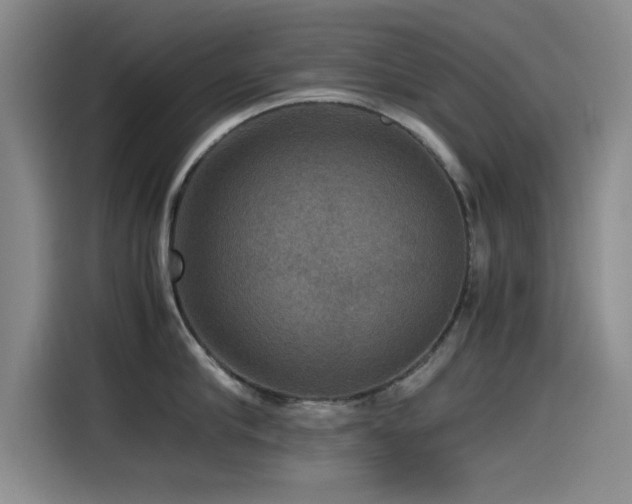 X0000115510910200911061354